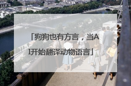 狗狗也有方言，当AI开始翻译动物语言