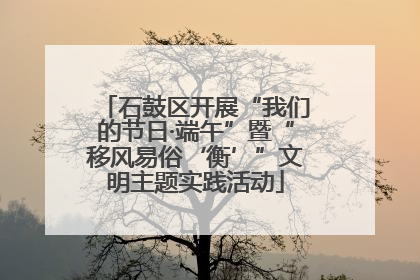 石鼓区开展“我们的节日·端午”暨“移风易俗‘衡’”文明主题实践活动