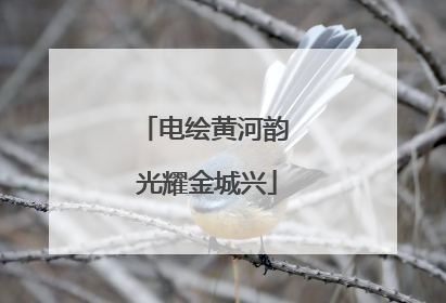 电绘黄河韵 光耀金城兴