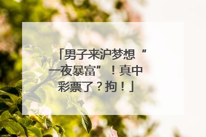 男子来沪梦想“一夜暴富”！真中彩票了？拘！