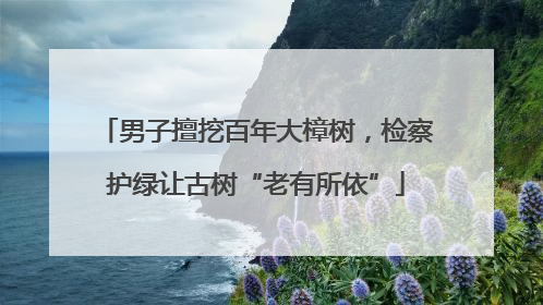 男子擅挖百年大樟树，检察护绿让古树“老有所依”