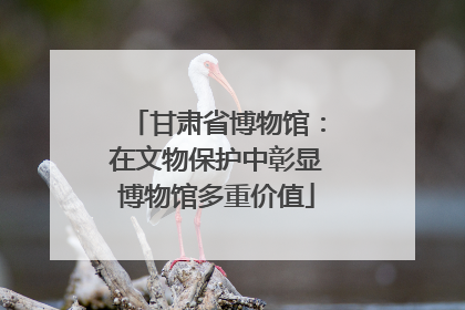 甘肃省博物馆：在文物保护中彰显博物馆多重价值