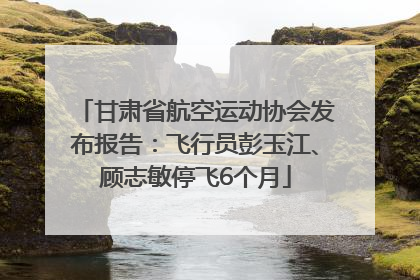 甘肃省航空运动协会发布报告：飞行员彭玉江、顾志敏停飞6个月