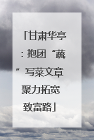 甘肃华亭：抱团“蔬”写菜文章 聚力拓宽致富路