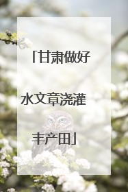 甘肃做好水文章浇灌丰产田