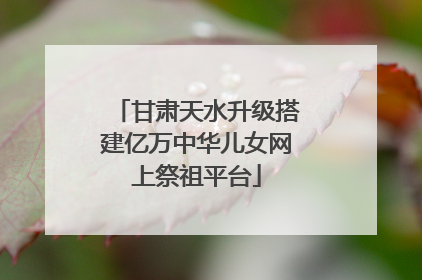 甘肃天水升级搭建亿万中华儿女网上祭祖平台