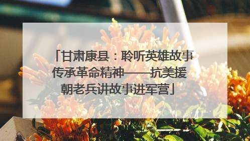 甘肃康县：聆听英雄故事 传承革命精神——抗美援朝老兵讲故事进军营