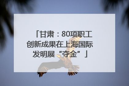 甘肃：80项职工创新成果在上海国际发明展“夺金”