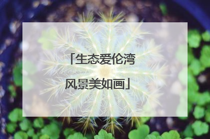 生态爱伦湾 风景美如画