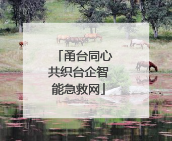 甬台同心共织台企智能急救网