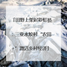 田野上架起彩虹桥：三亚水蛟村“农田+”激活乡村经济