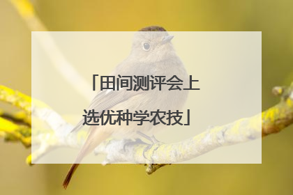 田间测评会上选优种学农技