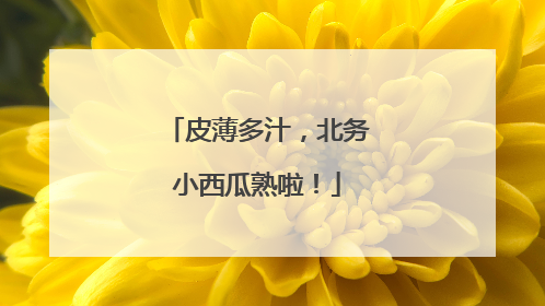皮薄多汁，北务小西瓜熟啦！
