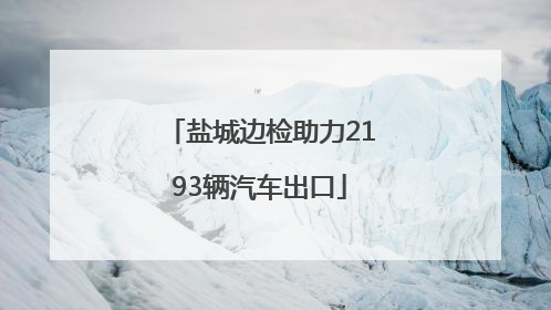 盐城边检助力2193辆汽车出口