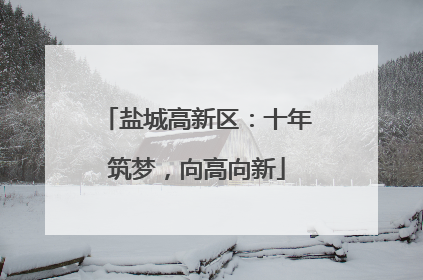 盐城高新区：十年筑梦，向高向新