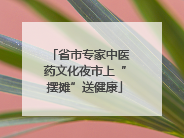 省市专家中医药文化夜市上“摆摊”送健康