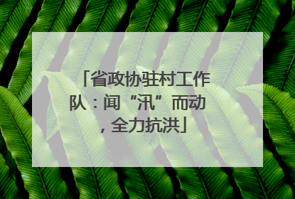 省政协驻村工作队：闻“汛”而动，全力抗洪