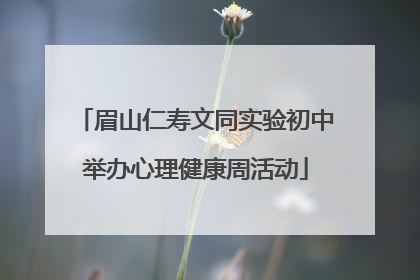 眉山仁寿文同实验初中举办心理健康周活动