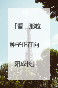 看，那粒种子正在向阳成长