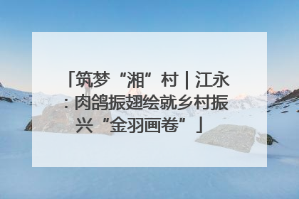 筑梦“湘”村｜江永：肉鸽振翅绘就乡村振兴“金羽画卷”