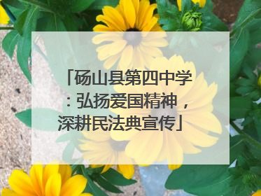 砀山县第四中学：弘扬爱国精神，深耕民法典宣传