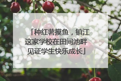 种红薯摸鱼，镇江这家学校在田间池畔见证学生快乐成长