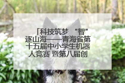科技筑梦 “智”逐山海——青海省第十五届中小学生机器人竞赛 暨第八届创新设计大赛见闻