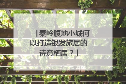 秦岭腹地小城何以打造银发旅居的诗意栖居？
