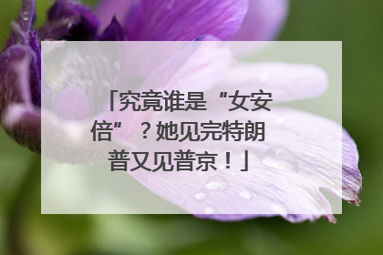 究竟谁是“女安倍”？她见完特朗普又见普京！