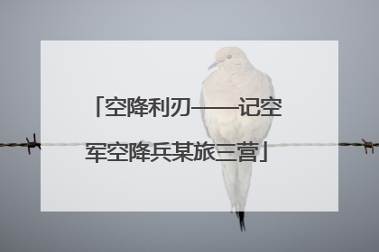 空降利刃——记空军空降兵某旅三营