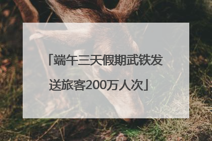 端午三天假期武铁发送旅客200万人次