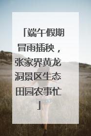 端午假期冒雨插秧，张家界黄龙洞景区生态田园农事忙