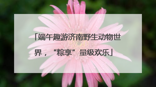 端午趣游济南野生动物世界，“粽享”量级欢乐