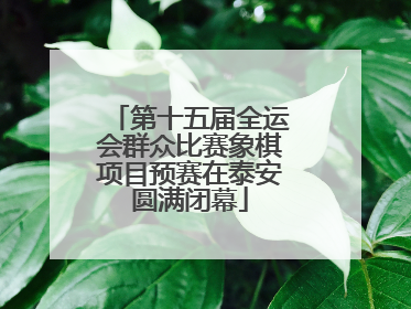 第十五届全运会群众比赛象棋项目预赛在泰安圆满闭幕