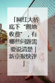 网红大桥底下“圈地收费”，有哪些问题需要说清楚｜新京报快评