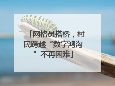网格员搭桥，村民跨越“数字鸿沟”不再困难