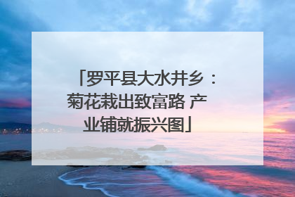 罗平县大水井乡：菊花栽出致富路 产业铺就振兴图