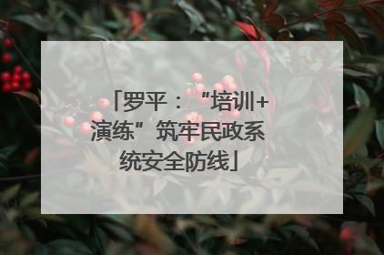 罗平：“培训+演练”筑牢民政系统安全防线