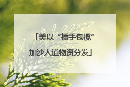 美以“插手包揽”加沙人道物资分发