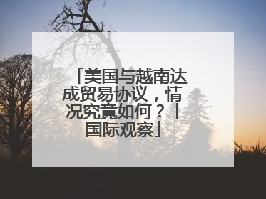 美国与越南达成贸易协议，情况究竟如何？丨国际观察