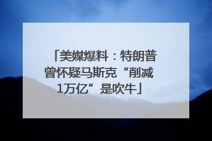 美媒爆料：特朗普曾怀疑马斯克“削减1万亿”是吹牛