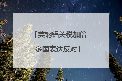 美钢铝关税加倍 多国表达反对