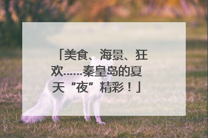 美食、海景、狂欢……秦皇岛的夏天“夜”精彩！