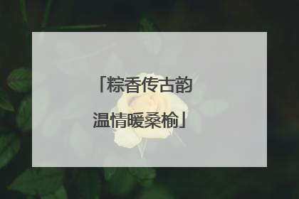 粽香传古韵 温情暖桑榆