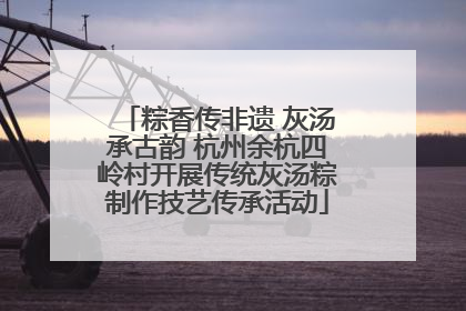 粽香传非遗 灰汤承古韵 杭州余杭四岭村开展传统灰汤粽制作技艺传承活动