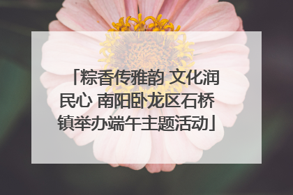 粽香传雅韵 文化润民心 南阳卧龙区石桥镇举办端午主题活动