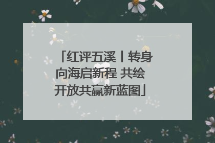 红评五溪丨转身向海启新程 共绘开放共赢新蓝图
