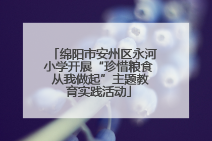 绵阳市安州区永河小学开展“珍惜粮食 从我做起”主题教育实践活动