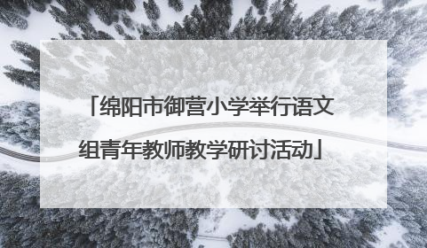 绵阳市御营小学举行语文组青年教师教学研讨活动