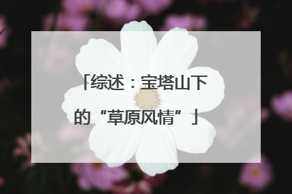 综述：宝塔山下的“草原风情”